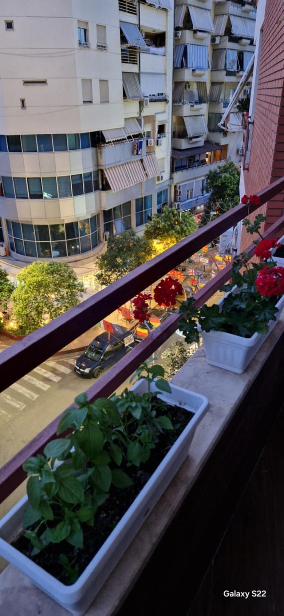 Central Deluxe Apartment 地拉那 外观 照片